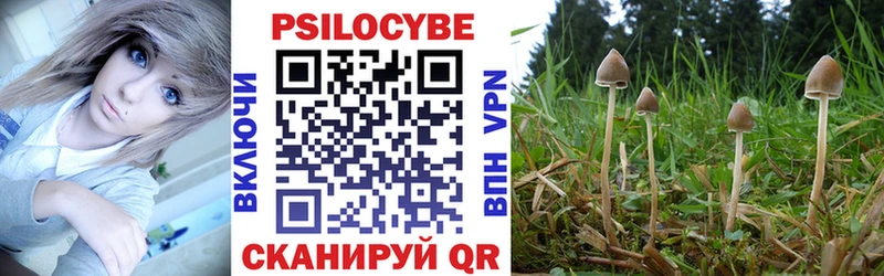 Галлюциногенные грибы Cubensis  Усть-Лабинск 
