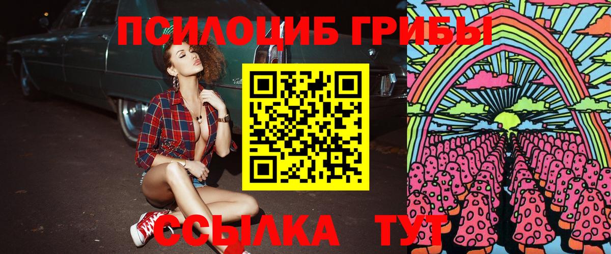 Псилоцибиновые грибы Cubensis Усть-Лабинск