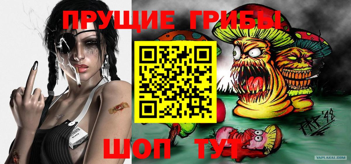 Псилоцибиновые грибы ЛСД  Вход с VPN  Усть-Лабинск 